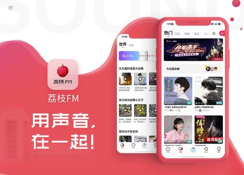 语音app开发 开发一个语音app需要多钱 语音聊天app开发方案